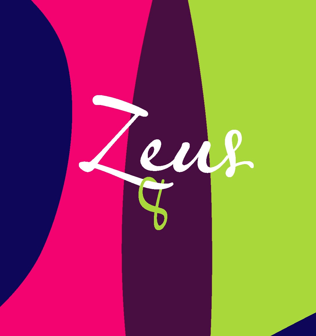 Identidad corporativa de Zeus 8